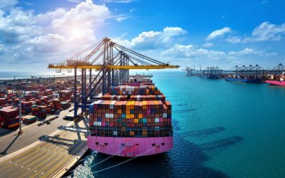 Navigating Customs Regulations: A Comprehensive Guide for New Importers